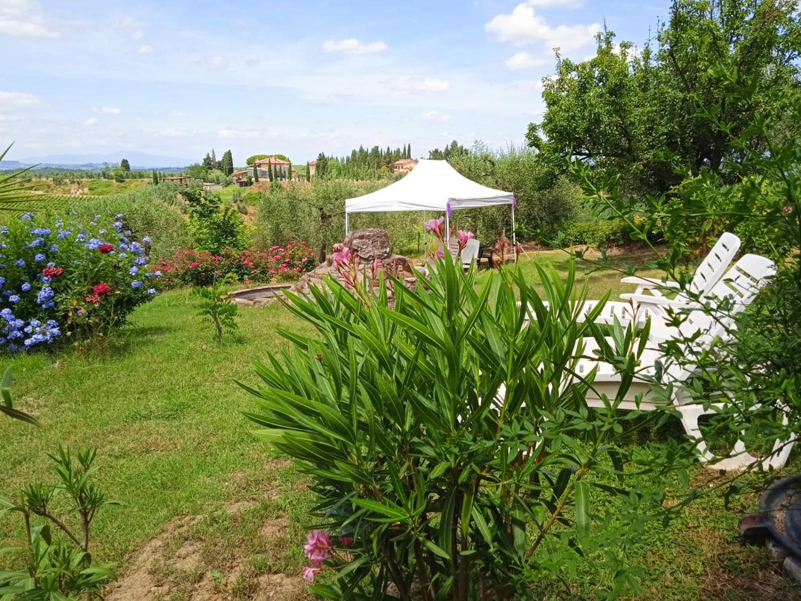 Nido Di Rondine Apartment มอนเตสแปร์โตลิ ภายนอก รูปภาพ